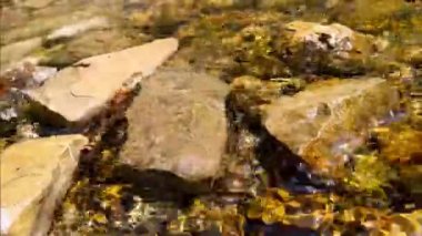 Küçük bir dağ nehrinde akan temiz suyu kapat, 4K 60FPS