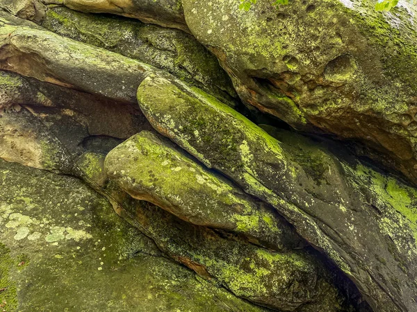 Velhas Pedras Musgosas Verdes Floresta Foto Fundo — Fotografia de Stock