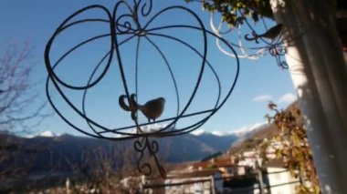 freedom concept, bird in cage