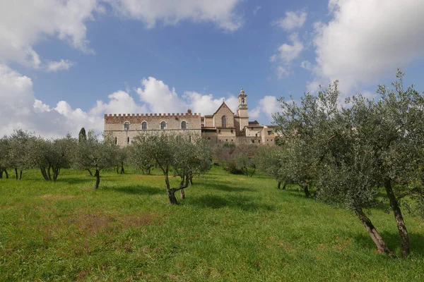 Florence Charterhouse Carthusian Monastery Located Florence Suburb Galluzzo Italy — Stock Photo, Image