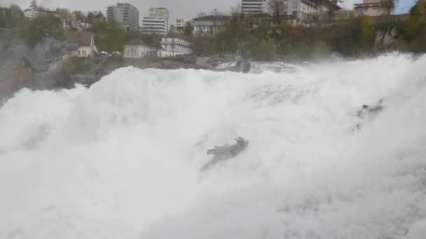 莱茵河瀑布是欧洲最大的瀑布 瑞士沙福森 — 图库视频影像