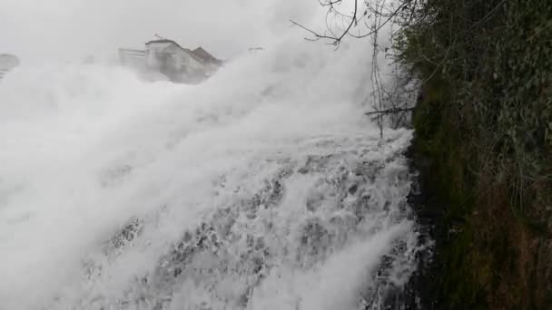 莱茵河瀑布是欧洲最大的瀑布 瑞士沙福森 — 图库视频影像