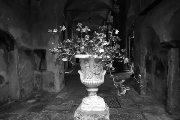 イタリア ロンバルディア州ヴァレーゼの15世紀の中庭 — ストック写真