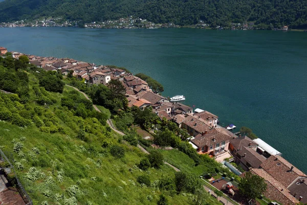 Morcote Švýcarsko Přehled Vesnice Ceresio Lake — Stock fotografie