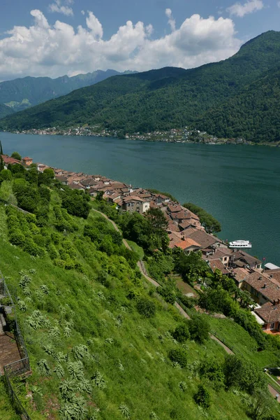 Morcote Suíça Visão Geral Vila Lago Ceresio — Fotografia de Stock