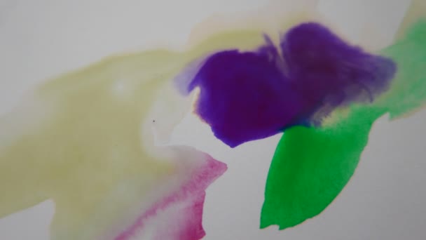Colorful Water Paint Brush Detail White Paper — Stock Video