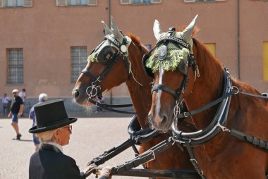 TURIN, İtalya - 24 Haziran 2023 Turin Kraliyet Sarayı 'nda tarihi at arabası geçidi