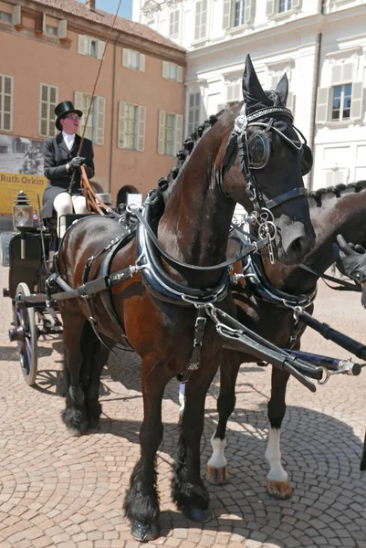 Turin Italy June 2023 Historical Horse Carriage Parade Royal Palace — Stock Photo, Image