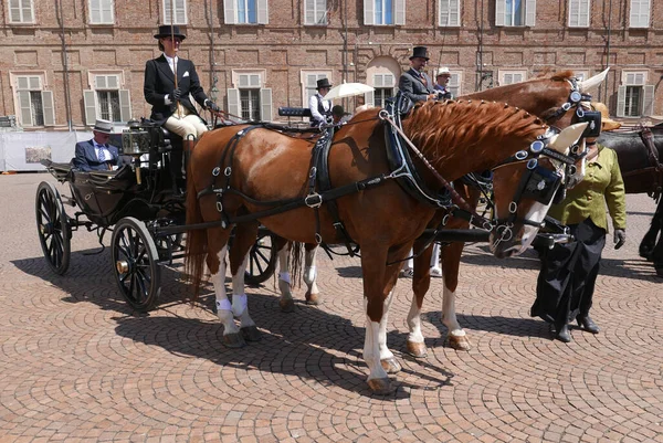 Turin Italy June 2023 Historical Horse Carriage Parade Royal Palace — Stock Photo, Image