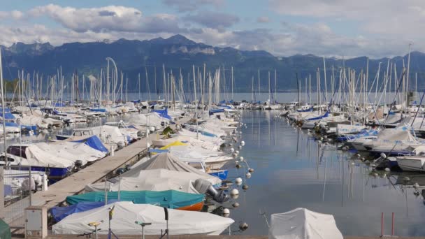 Port Ouchy Zwitserland August 2023 Zwitserse Toeristische Haven Aan Het — Stockvideo