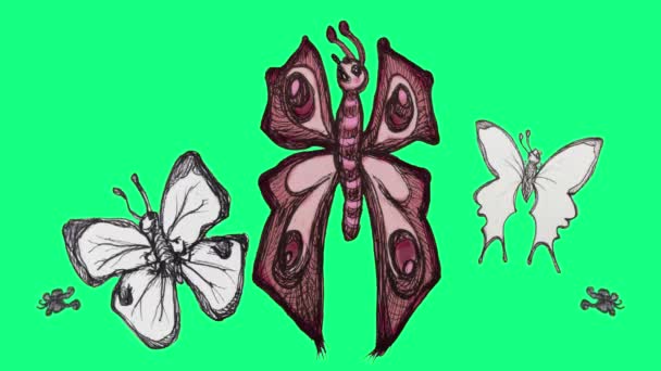 Рука Намальована Анімаційна Петля Милих Метеликів Зеленому Екрані — стокове відео