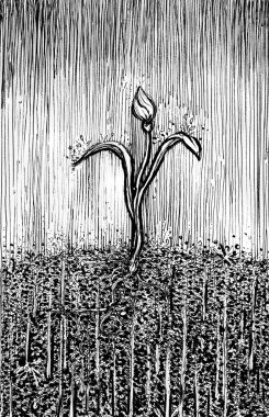 Bud Ink resimleme, başlangıç konsepti