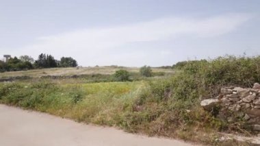 ZOLINO, ITALY: Bu bölge tarih öncesi zamanlarda yerleşmiştir, dolmenlerin ve menhirlerin varlığı kanıtlanmıştır