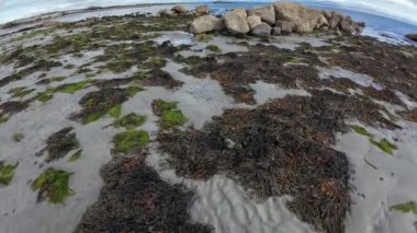 Galway yakınlarındaki İrlanda kıyıları sular çekildiğinde