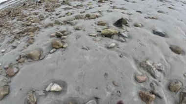 Galway yakınlarındaki İrlanda kıyıları sular çekildiğinde