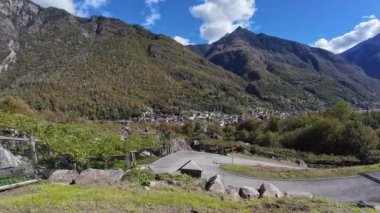 Blenio Vadisi 'ndeki üzüm bağları, Canton Ticino, İsviçre