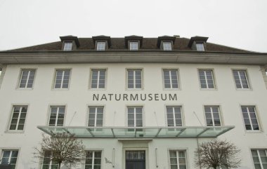 SOLOTHURN, SWitzERLAND - 22 Şubat 2025: İsviçreli jeolog ve Solothurn vatandaşı Franz Joseph Hugi 'nin koleksiyonuyla Doğal Tarih Müzesi