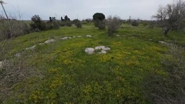 Lecce, İtalya 'daki Li scusi tarih öncesi mekanında taş çember.