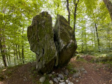 Val Maggia, İsviçre 'deki Büyük Taş Dolmen
