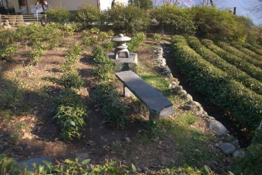 İsviçre, Ascona Verita Dağı 'ndaki bahçeler.