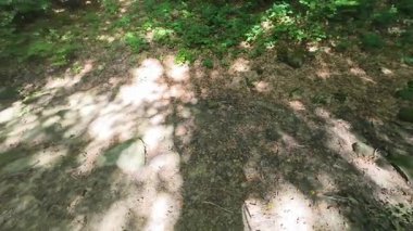 Eski Roma yolunun kalıntıları Flaminia militare. Bologna ve Floransa arasında, İtalya