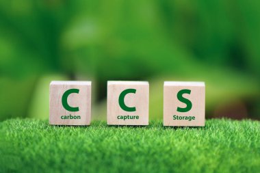 Çevresel arkaplan üzerindeki ahşap bloklar (Karbon Yakalama ve Depolama) için CCS kısaltması.