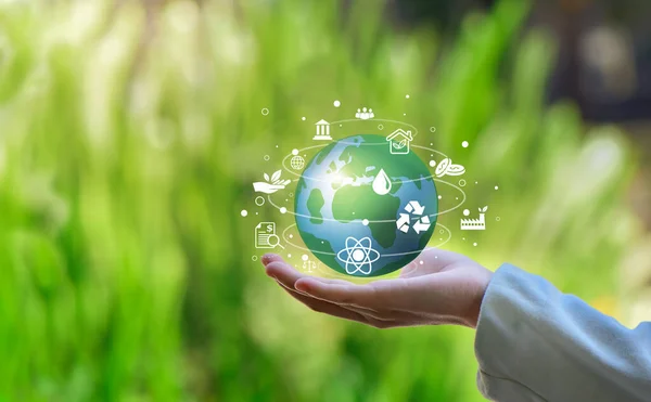 Hands Holding Globe with icon In Green Forest - Environment Concept , ESG icon concept. Environment, society and governance.