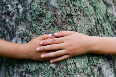 Eller yeşilde büyük bir ağaç gövdesine sarılır gezegeni ve iklim değişikliğini kurtarır..