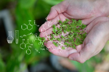 El yapımı ağaçlar yenilenebilir kaynak teknolojisi ile, ağ sıfır 2050 karbon nötr ve ağ sıfır kavramı