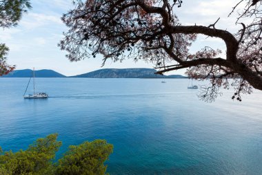 Yunanistan 'ın Ermioni, Argolida, Peloponnese kentinin sonundaki Bistis Ormanı manzarası.
