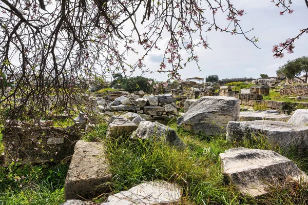 アッティカ エレウシスのギリシャの考古学的なサイトのビュー — ストック写真