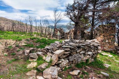 Yunanistan 'ın Attica kentindeki Penteli Dağı' nda gizlenmiş Frankish Kilisesi kalıntıları. Kilise, taşçılıkla kesişmiş olmalı..