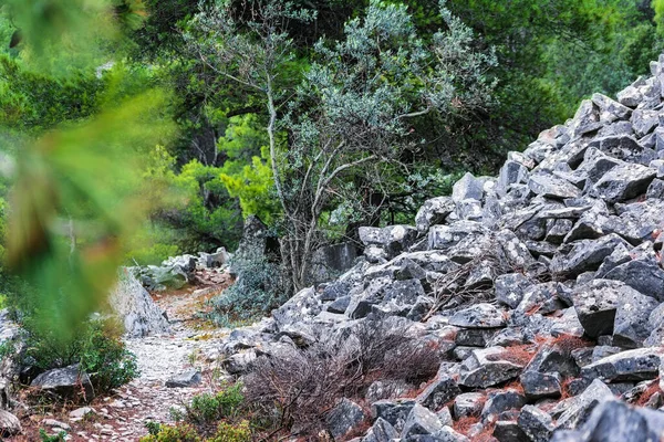 Kışın Penteli Dağı Ndaki Kayalar Taşlar Bitkiler Penteli Atina Nın — Stok fotoğraf