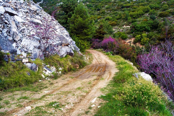 Penteli Mountain Dirt Road Athens Greece — Stock Photo, Image