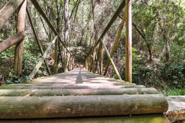 Ormandaki derenin üzerindeki eski ahşap köprü. Yunanistan.