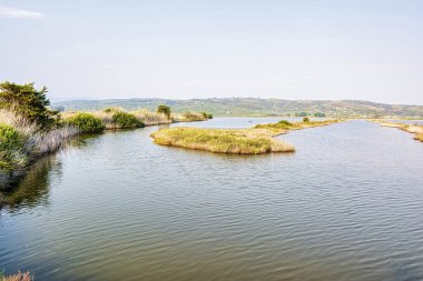 Gialova gölü manzarası. Gialova gölü Avrupa 'nın en önemli sulak alanlarından biridir çünkü göçmen kuşların en güneydeki göç istasyonunu oluşturur..
