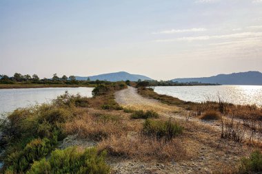 Gialova gölü manzarası. Gialova gölü Avrupa 'nın en önemli sulak alanlarından biridir çünkü göçmen kuşların en güneydeki göç istasyonunu oluşturur..