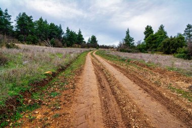 Attica, Yunanistan 'daki dağ yolu. Parnitha dağına yakın..