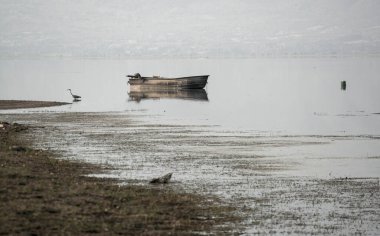 Yunanistan 'ın Kerkini gölünde sakin bir manzara, kıyıda duran bir balıkçıl ve sakin sulara yansıyan ıssız bir tekne.