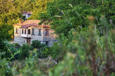 Yunanistan 'ın Agios Germanos kentindeki sık yeşilliklerin arasına yerleştirilmiş kırmızı kiremitli çatılı geleneksel bir taş ev, sakin ve tenha bir atmosfer yaratıyor..