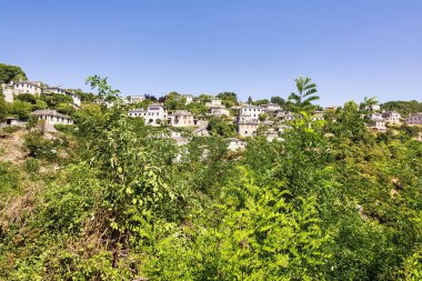 Yunanistan 'ın Zagori kentindeki Vitsa köyünün manzaralı manzarasında, açık bir gökyüzünün altında yemyeşil bir yamaçta geleneksel taş evler yer alıyor..