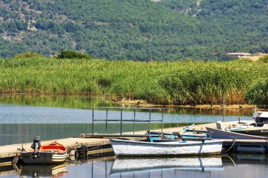 Küçük balıkçı tekneleri, arka planda yemyeşil tepeler ve yemyeşil sazlıklar ile çevrili Prespa Gölü 'nün sakin sularına yanaştılar..