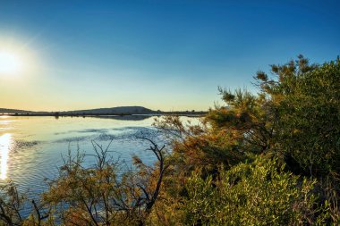 Sunlight reflects on the calm waters of Gialova Lagoon in Greece, surrounded by bushes and distant hills, creating a serene atmosphere. clipart