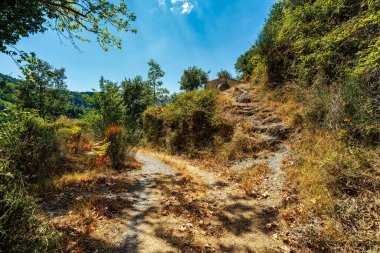 Yunanistan 'ın Messinia kentinin ormanlık tepelerinde, doğal yeşillik ve engebeli arazilerle çevrili, taştan yapılma tuhaf bir kilise vardır..