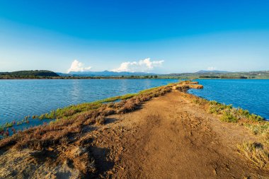 Gialova Gölü boyunca uzanan dar toprak yol. Parlak, berrak bir gökyüzünün altında su ve bitki örtüsüyle çevrili..