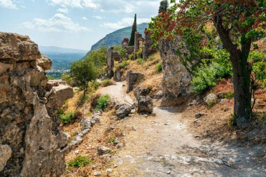 Yunanistan 'ın Mystras kentinin kalıntıları arasında sarmalanmış dingin bir patika, uzun selvi ağaçları ve tarihi yapılar manzarası var..