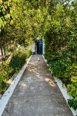 A peaceful garden pathway inside Iera Moni Timiou Prodromou, surrounded by lush greenery, leading to a gate with a cat. clipart