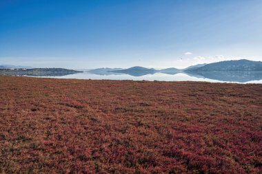 Yunanistan 'ın Megara kenti yakınlarındaki Vourkari Bataklığı' nın sakin manzarası, uzak tepeleri ve berrak mavi gökyüzünü yansıtıyor..