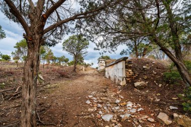 Yunanistan 'ın Ramnous kentindeki engebeli bir patika boyunca ağaçlar ve kayalık arazilerle çevrili yıpranmış bir taş mezar..