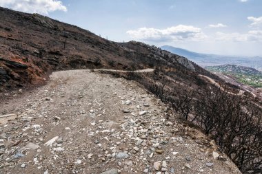 2024 'teki orman yangını felaketinin ardından Atina' ya bakan Penteli Dağı 'ndaki dağların içinden engebeli bir dağ yolu kıvrılıyor..